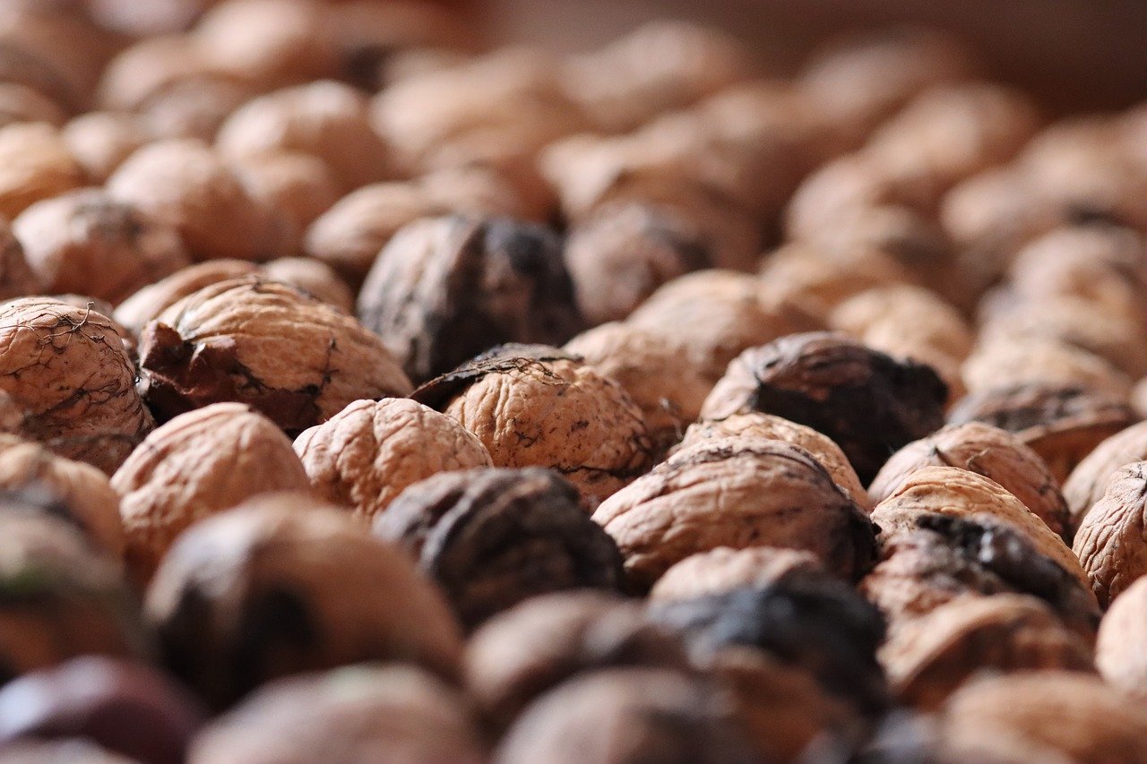 香烟的吸食方式和社交场合的礼仪与规范