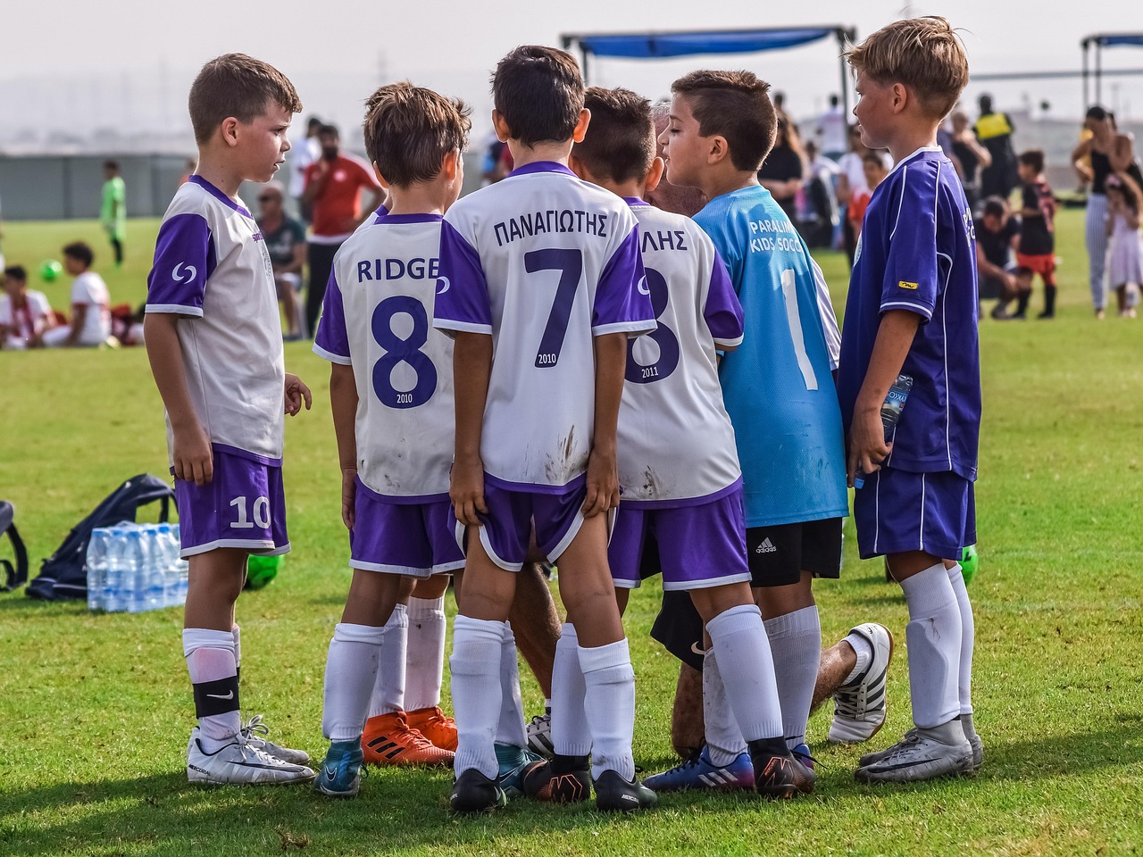 苏宁互联实名账号:陇川县代理商标注册公司