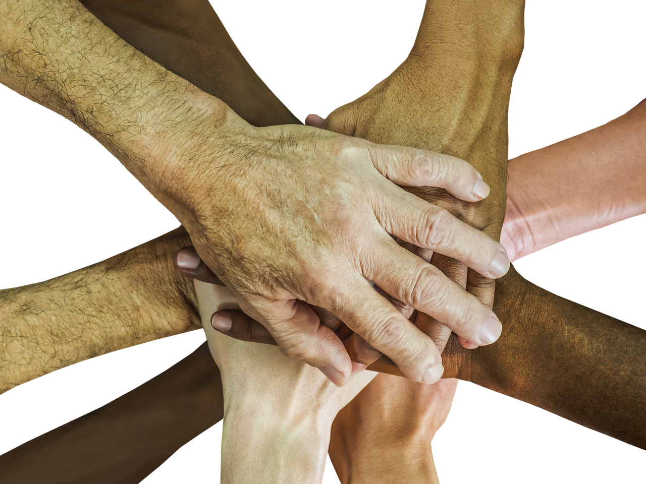 龙珠觉醒辅助- 风云app详情下载教程