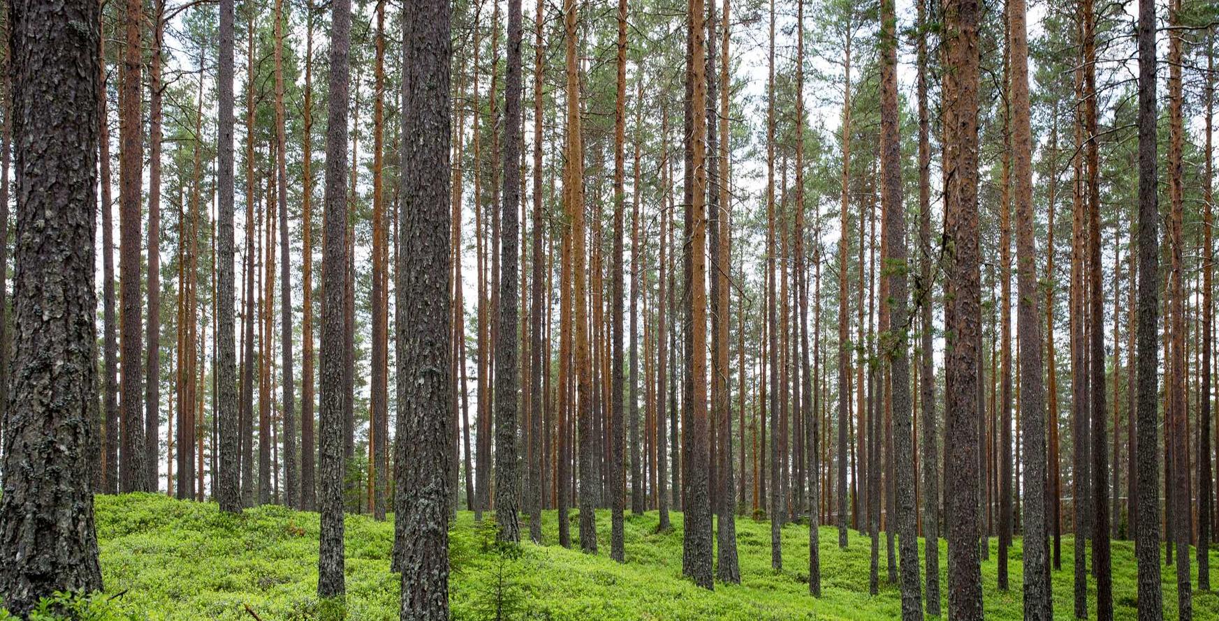 百事3娱乐，注册|wrk详情下载教程app