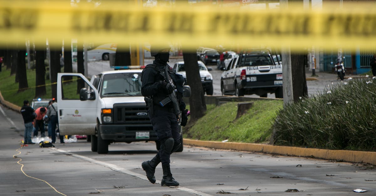 cc网页端|网络安全的重要性及其对企业生产力的贡献