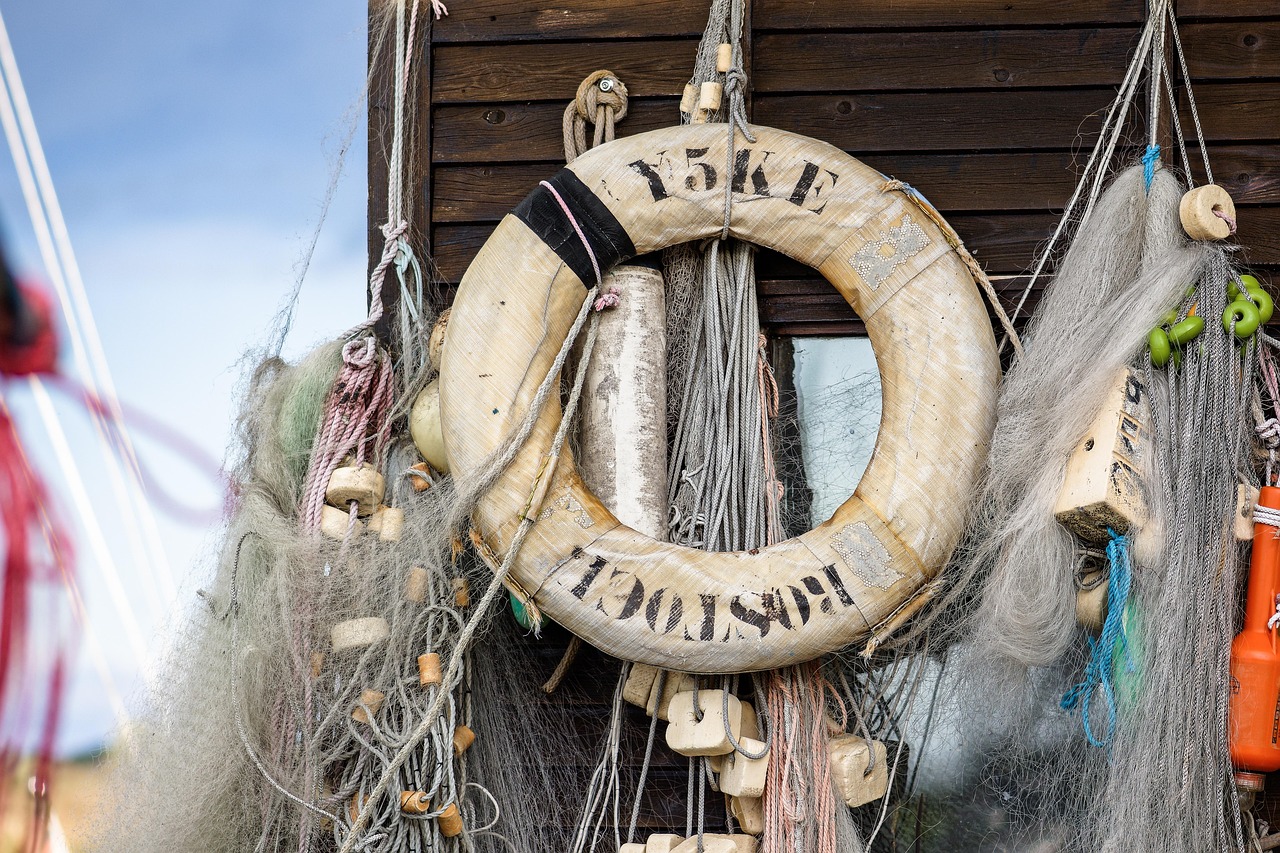 妄想山海国际服：外资公司变更注册代理