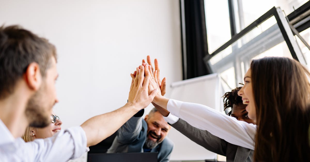 剑雨如歌：最新电影详情下载教程app