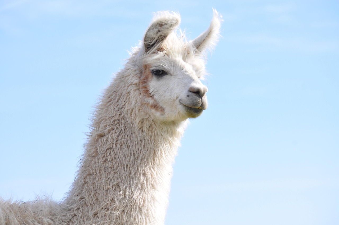 黑客攻击金融机构的新领域