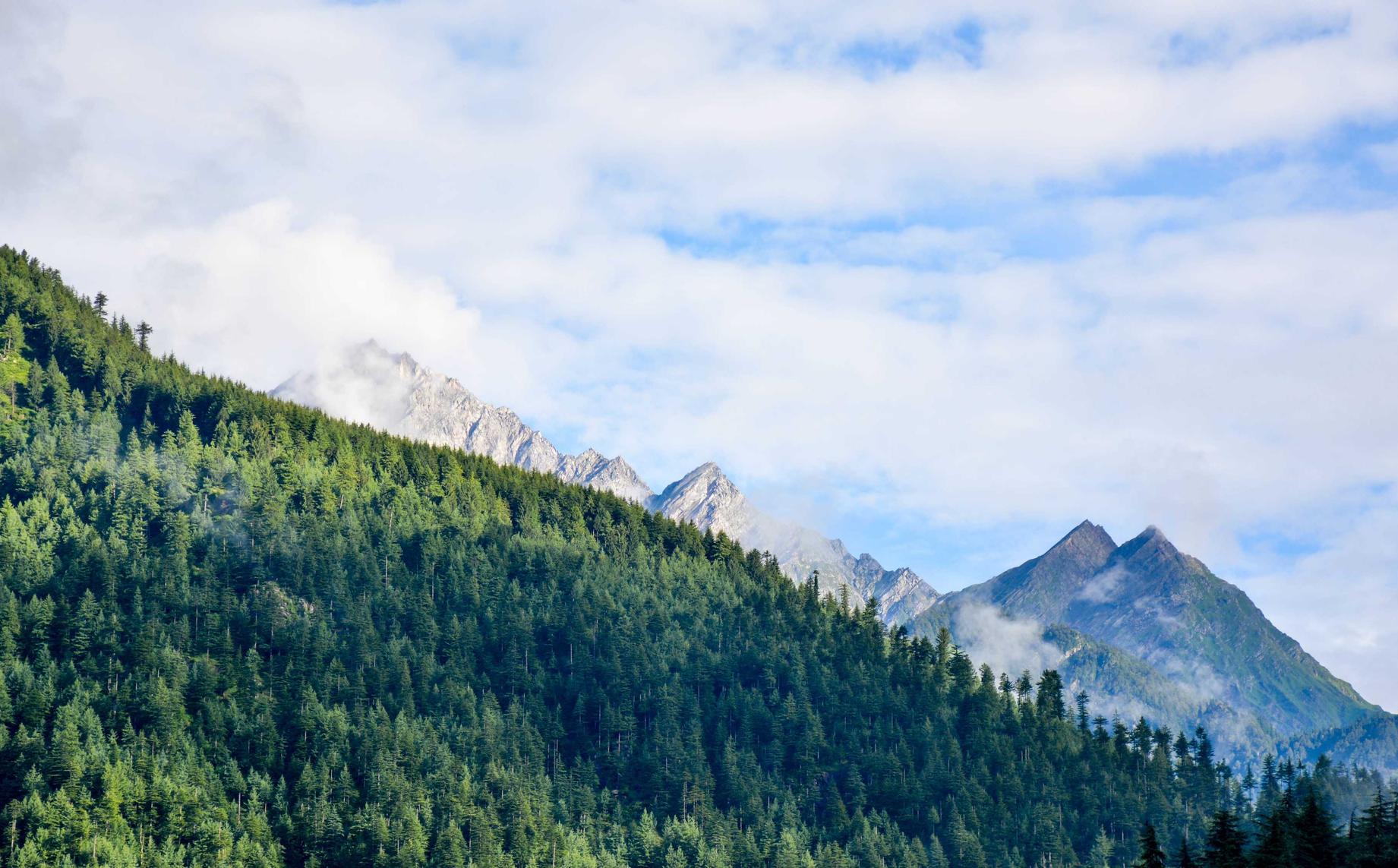 syn攻击|热门代理平台