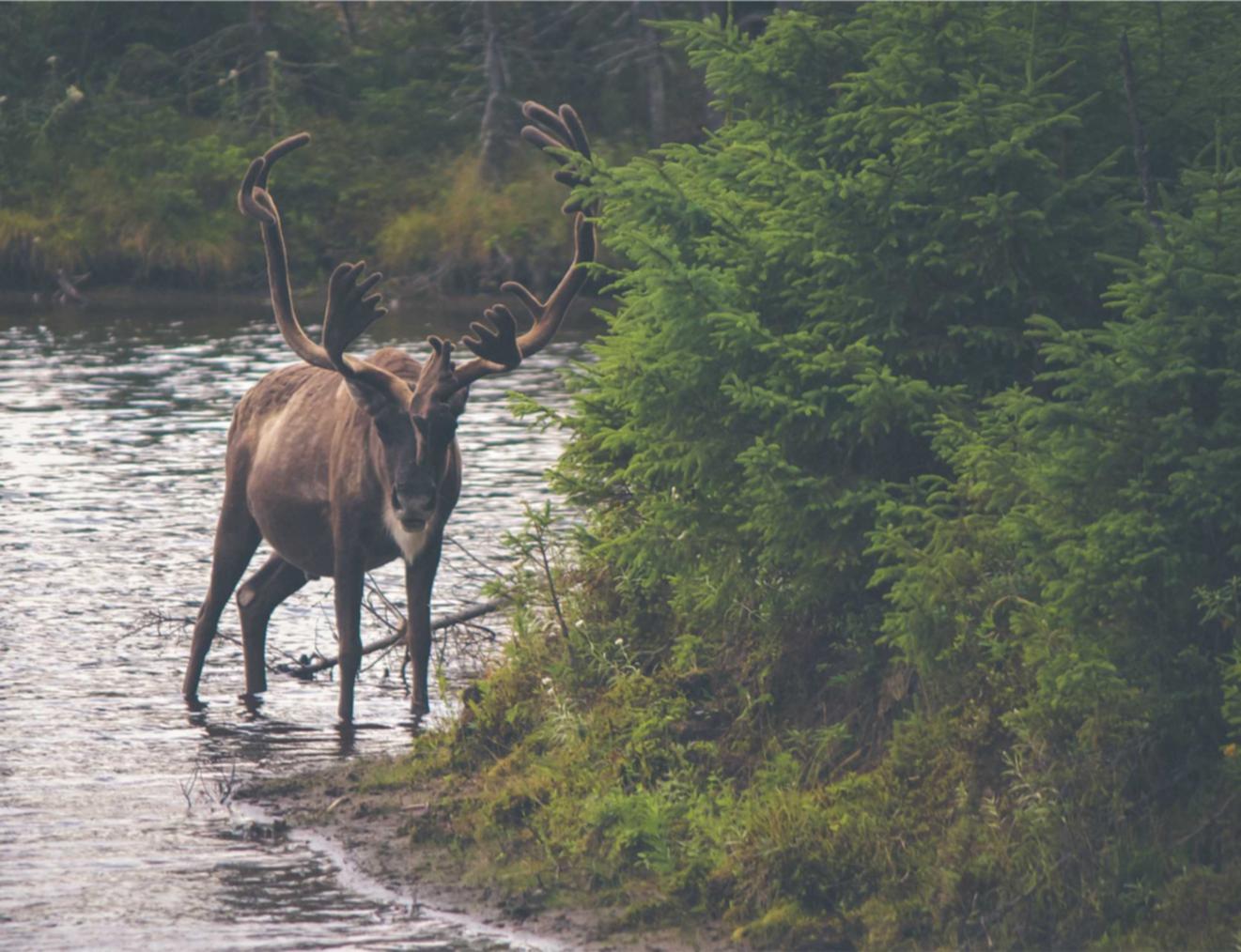 七牛云实名账号：外汇平台开户网址