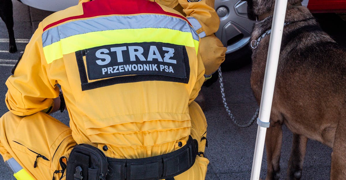 海信通信实名账号：网络利好政策：政策对实名账号的规定